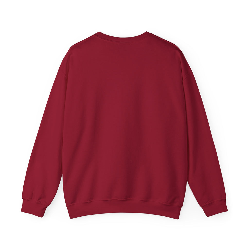 "The Scriptures Are Melanated" Christian Pullover