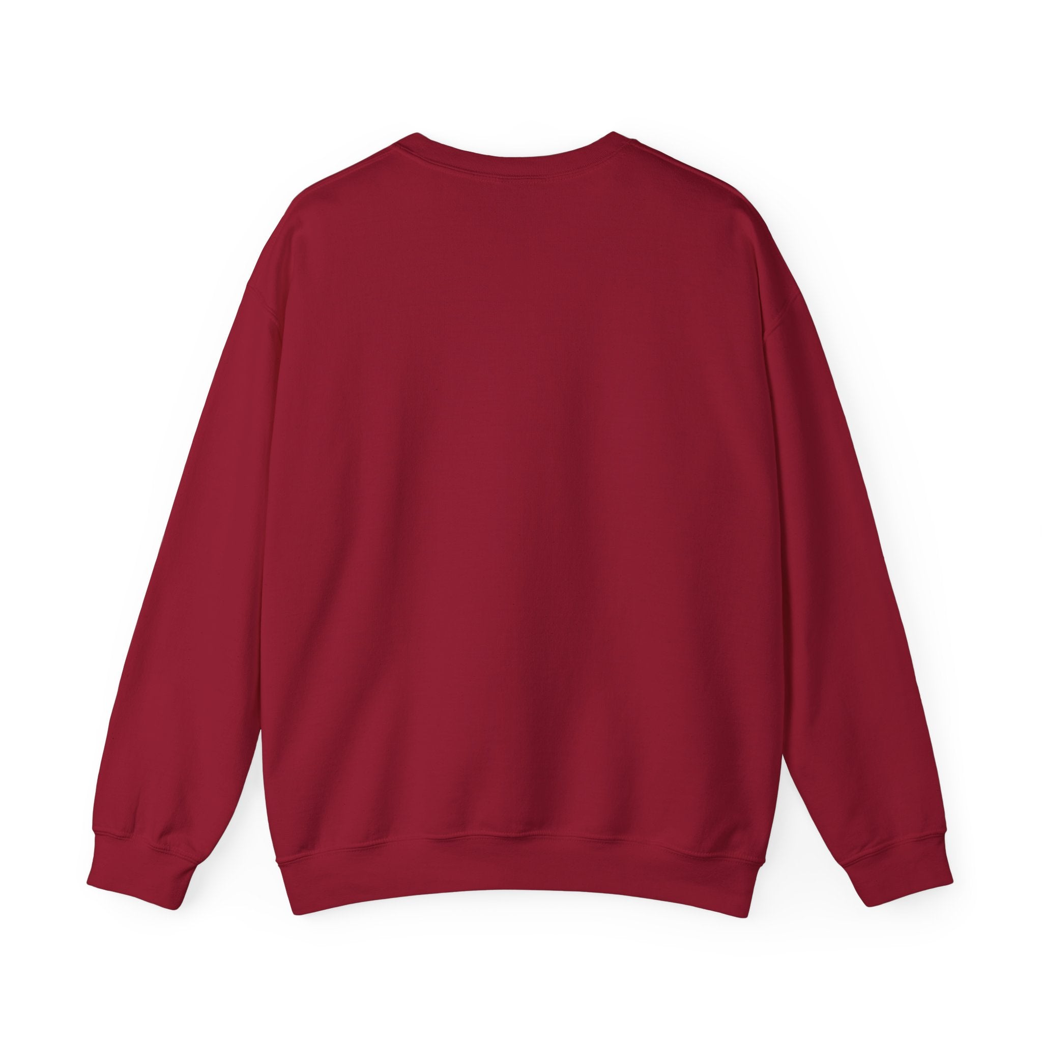 "The Scriptures Are Melanated" Christian Pullover