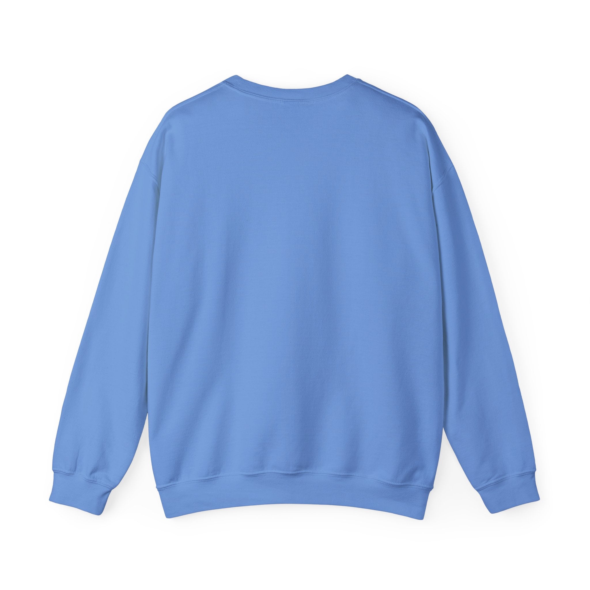 "ENVY put HIM on the cross" Matthew 27:18 Pullover
