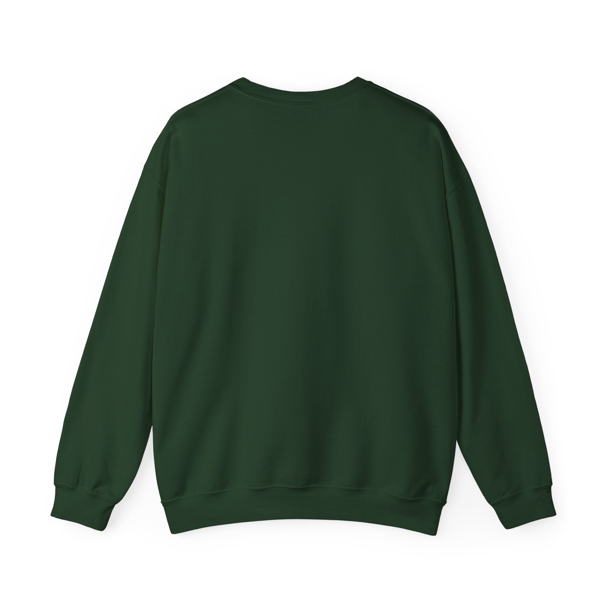 "ENVY put HIM on the cross" Matthew 27:18 Pullover