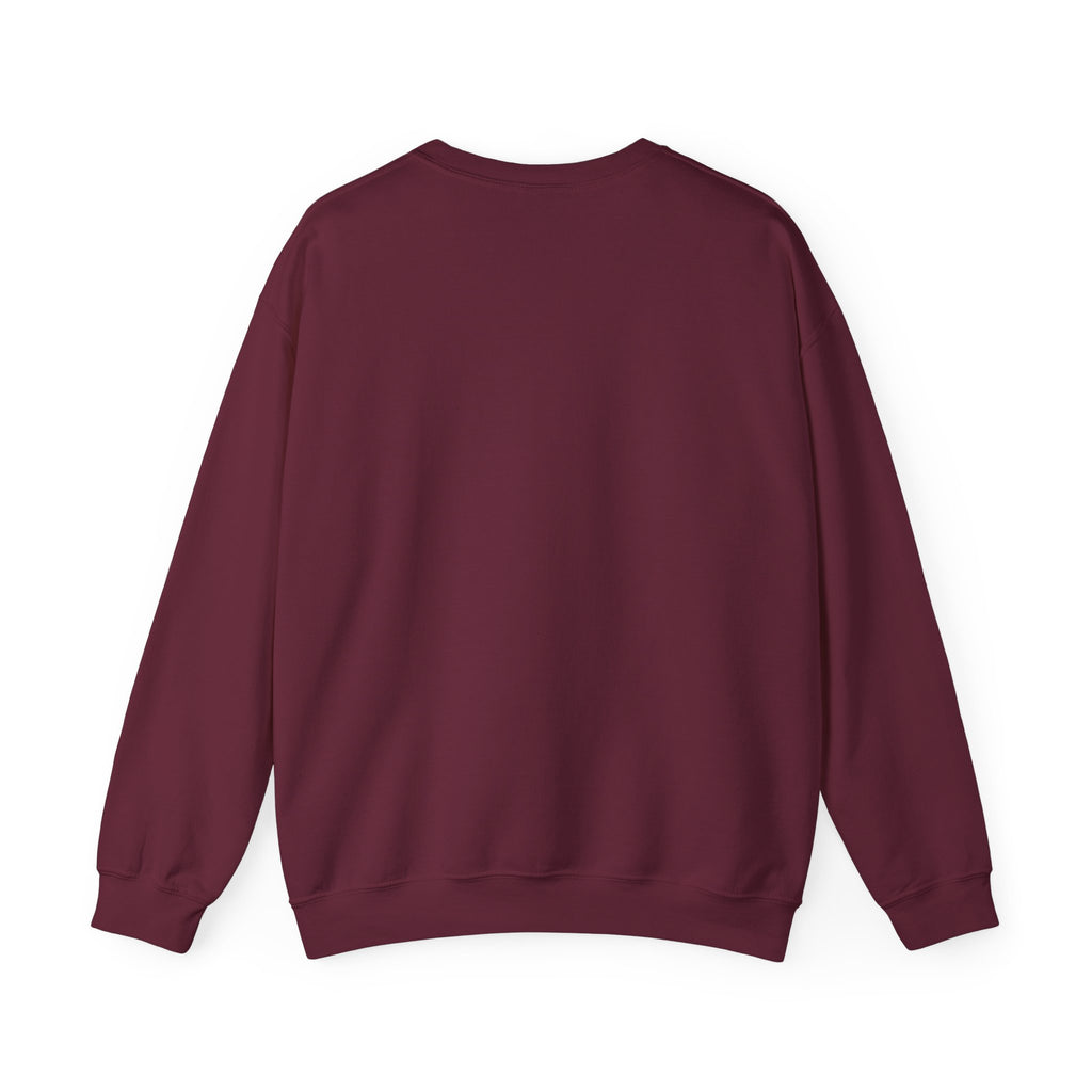 "The Scriptures Are Melanated" Christian Pullover
