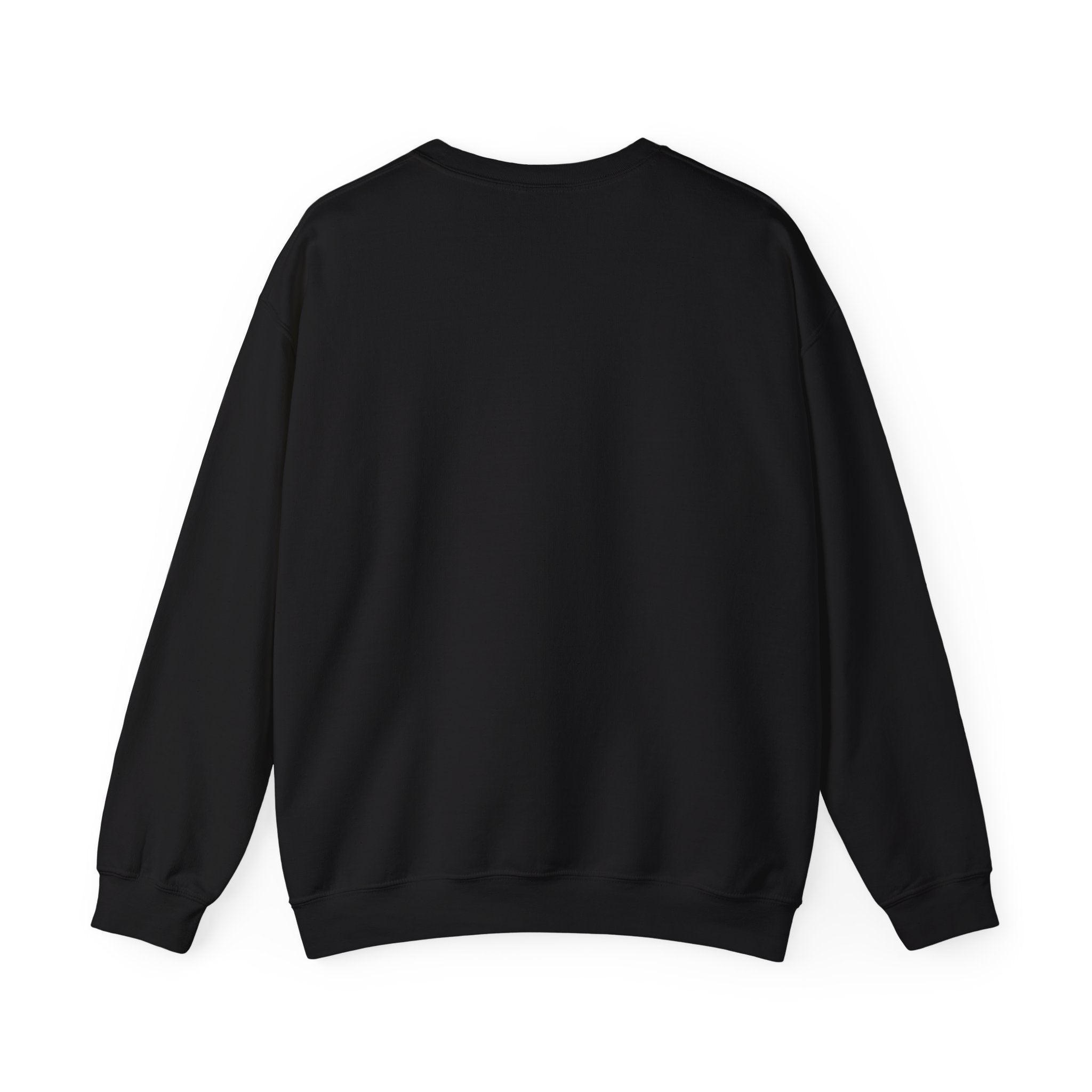 "The Scriptures Are Melanated" Christian Pullover