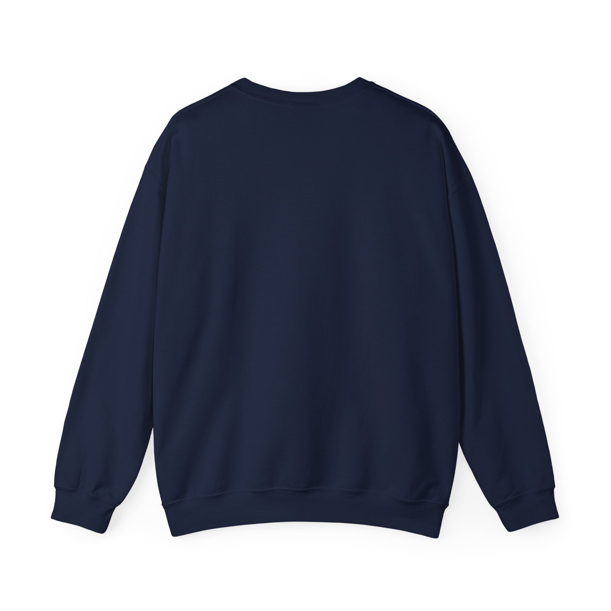 "The Scriptures Are Melanated" Christian Pullover